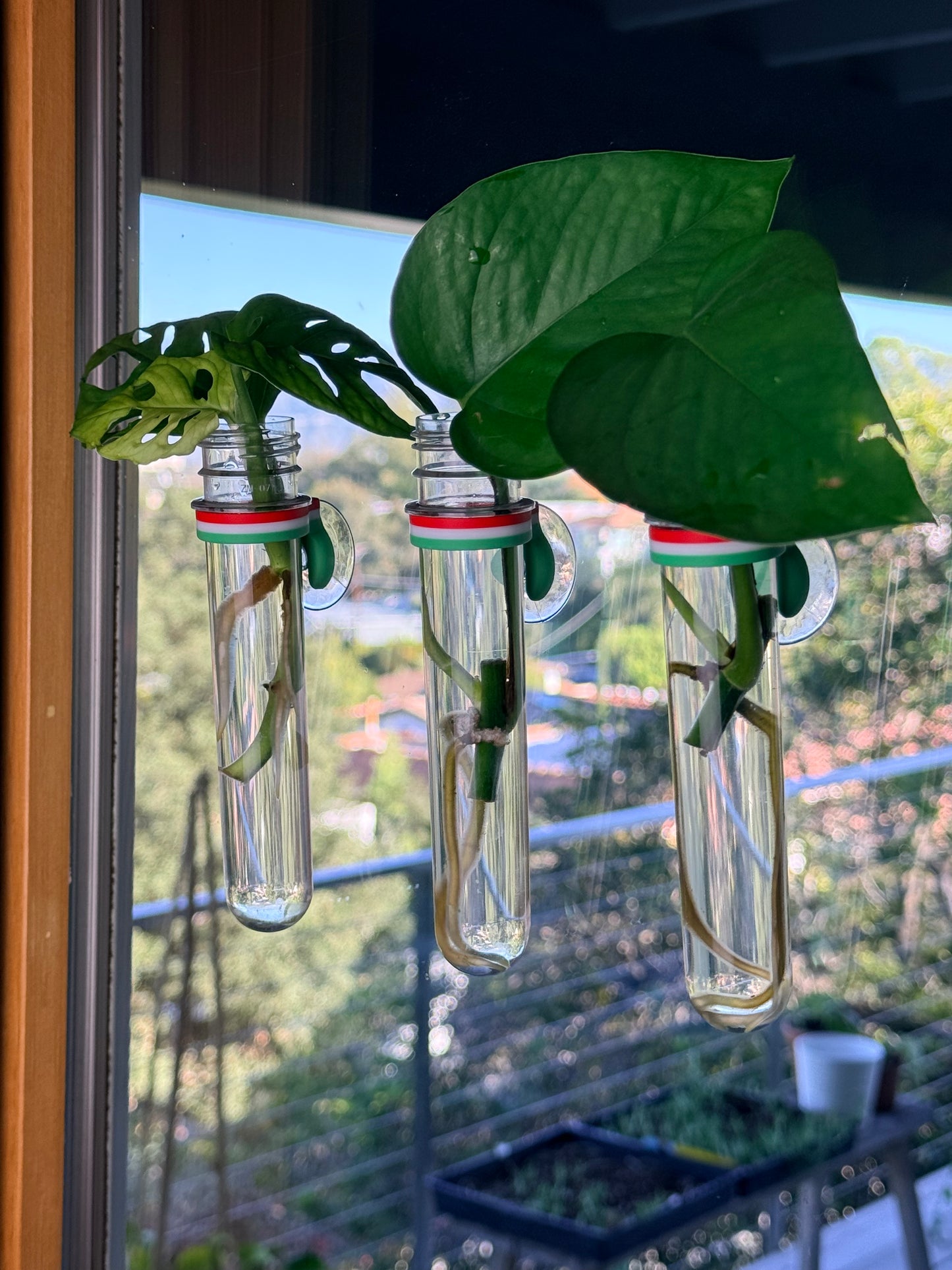 Propo – Window Propagation Tube Set (3-Pack)