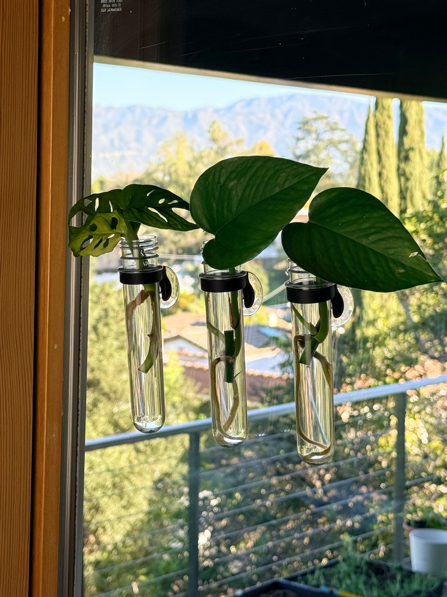 Propo – Window Propagation Tube Set (3-Pack)