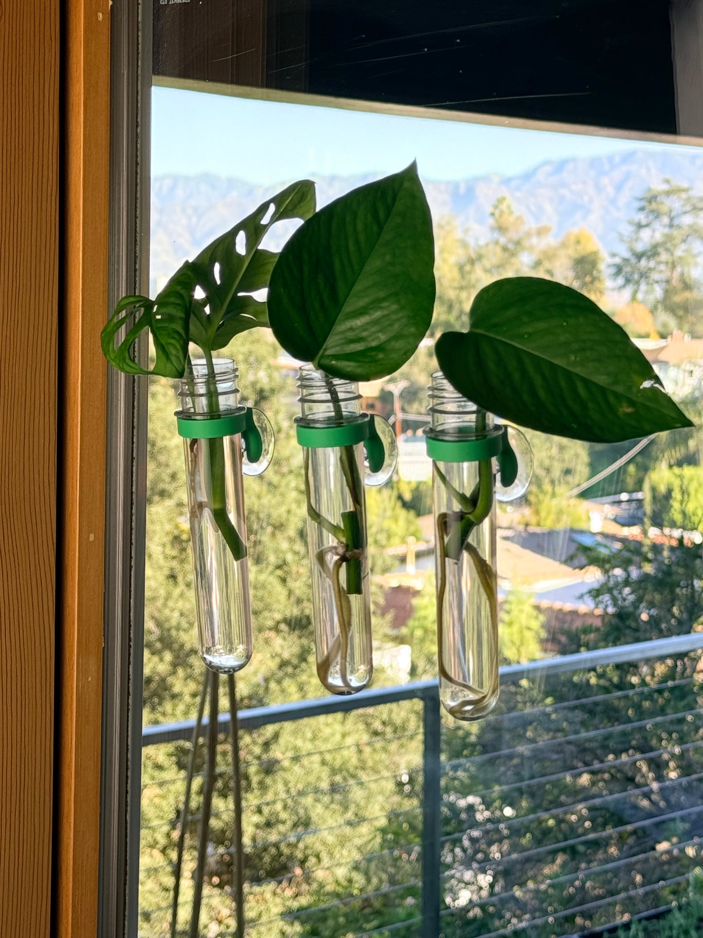 Propo – Window Propagation Tube Set (3-Pack)