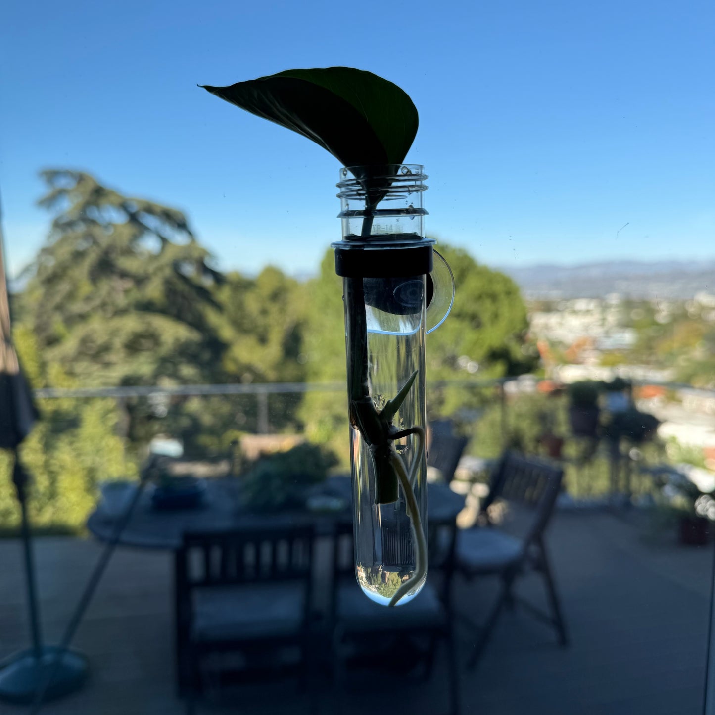 Propo – Window Propagation Tube Set (3-Pack)