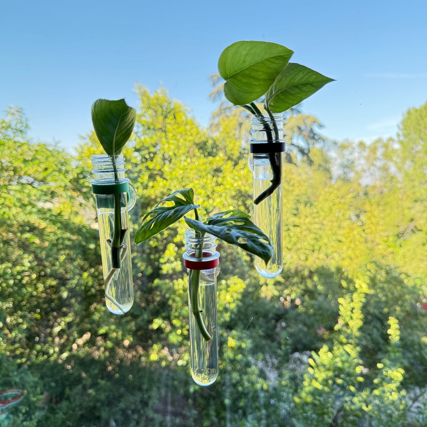 Propo – Window Propagation Tube Set (3-Pack)